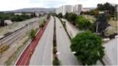 Polis ve basın güvercinleri besledi Polis ve basın güvercinleri besledi