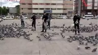 Polis ve basın güvercinleri besledi Polis ve basın güvercinleri besledi