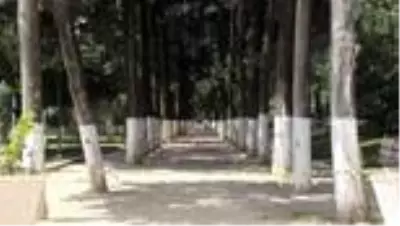 Ramazan Bayramı'nı kapsayan sokağa çıkma kısıtlamasına uyuluyor - HATAY Ramazan Bayramı'nı kapsayan sokağa çıkma kısıtlamasına uyuluyor - HATAY