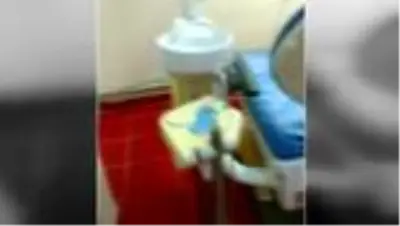 Sahte diş hekimi gözaltına alındı Sahte diş hekimi gözaltına alındı