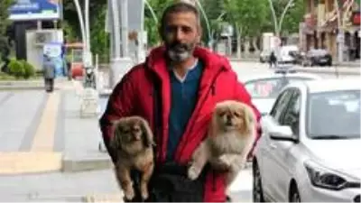 Sokağa çıkma kısıtlamasında ilk günü köpeklerini gezdirdi, yem bıraktı Sokağa çıkma kısıtlamasında ilk günü köpeklerini gezdirdi, yem bıraktı