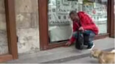 Sokağa çıkma kısıtlamasının ilk günü köpeklerini gezdirdi ve hayvanlara yem bıraktı