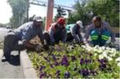 Sokakların boş kaldığı Diyarbakır'da refüjlere 2 milyon çiçek dikilecek