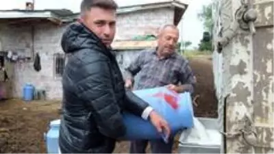 Süt fiyatlarının yükselmesi Saanen keçisine olan talebi arttırdı Süt fiyatlarının yükselmesi Saanen keçisine olan talebi arttırdı