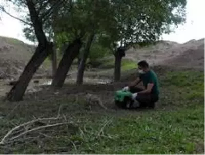 Tedavisi tamamlanan tilki doğaya bırakıldı