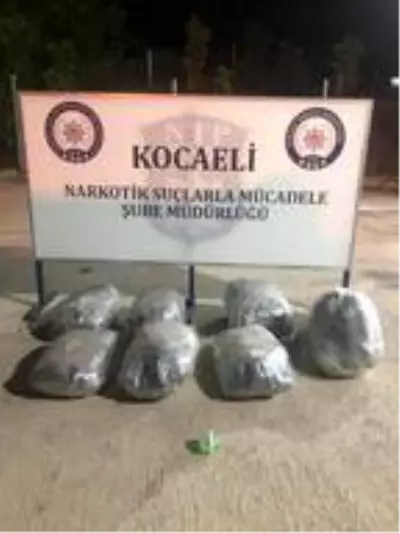 TIR'da 42 kilo esrar ele geçirildi: 2 gözaltı TIR'da 42 kilo esrar ele geçirildi: 2 gözaltı
