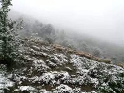 Tokat'ta yaylalar beyaza büründü Tokat'ta yaylalar beyaza büründü