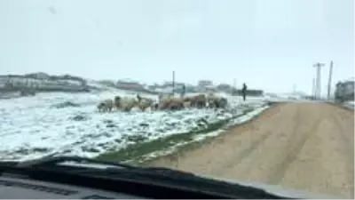 Tokat'ta yaylalar beyaza büründü Tokat'ta yaylalar beyaza büründü