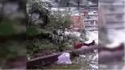 Tokat’ta yaylalar Mayıs ayında beyaza büründü