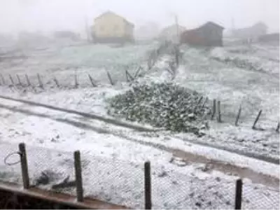 Trabzon'un yaylalarında mayıs ayında kar sürprizi