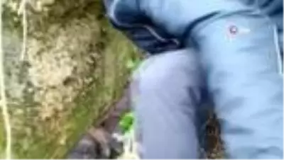 Uçuruma düşen köpek kendisini kurtaran itfaiye çalışanının peşini bırakmadı Uçuruma düşen köpek kendisini kurtaran itfaiye çalışanının peşini bırakmadı