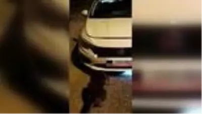 Uyuşturucu operasyonunda 2 şüpheli yakalandı