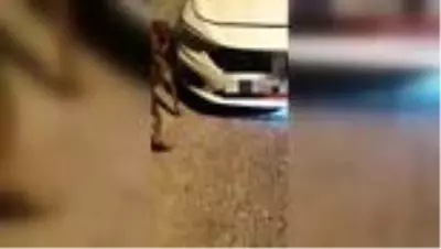 Uyuşturucu operasyonunda 2 şüpheli yakalandı Uyuşturucu operasyonunda 2 şüpheli yakalandı