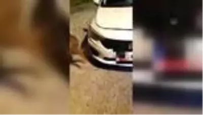 Uyuşturucu operasyonunda 2 şüpheli yakalandı Uyuşturucu operasyonunda 2 şüpheli yakalandı