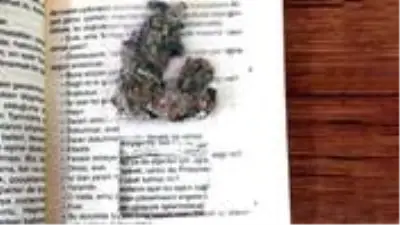 Uyuşturucu tacirleri, hayret veren yöntemlerine rağmen polisten kaçamadı Uyuşturucu tacirleri, hayret veren yöntemlerine rağmen polisten kaçamadı