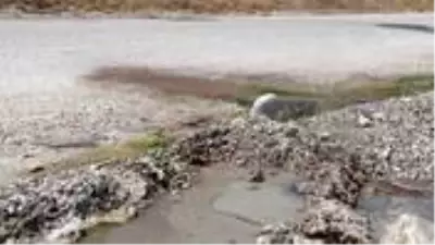 Vatandaşlar şaşkın! Kara yolundan çıkan termal su, asfaltı deldi Vatandaşlar şaşkın! Kara yolundan çıkan termal su, asfaltı deldi