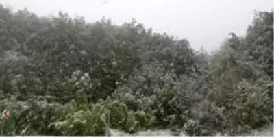 Yaralıgöz Dağı'nda Mayıs ayında kar sürprizi