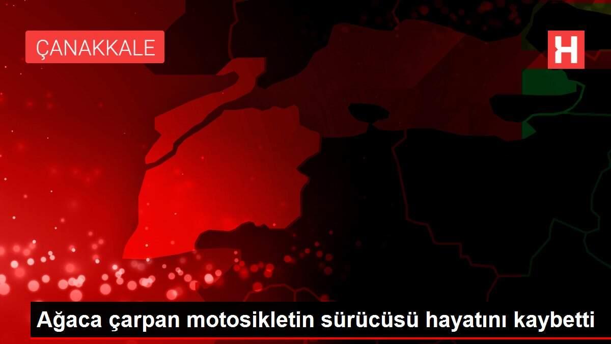 Ağaca çarpan motosikletin sürücüsü hayatını kaybetti