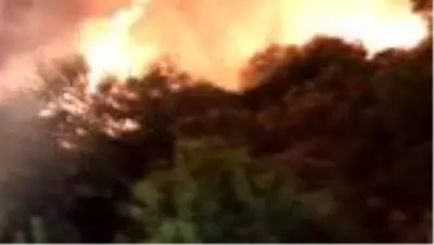 Antalya'nın Kaş ilçesindeki orman yangını kontrol altına alındı Antalya'nın Kaş ilçesindeki orman yangını kontrol altına alındı