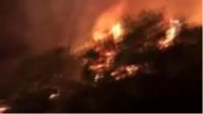 Antalya'nın Kaş ilçesindeki orman yangını kontrol altına alındı Antalya'nın Kaş ilçesindeki orman yangını kontrol altına alındı