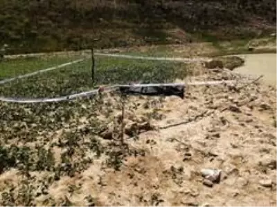 Bir haftadır aranan şahsın cesedi baraj gölünde bulundu