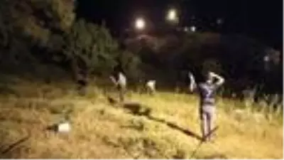 Derecik'te otlar geceleri biçiliyor