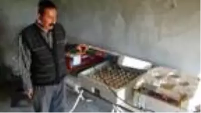 Doğa dostu muhtar yetiştirdiği keklikleri doğaya salıyor Doğa dostu muhtar yetiştirdiği keklikleri doğaya salıyor