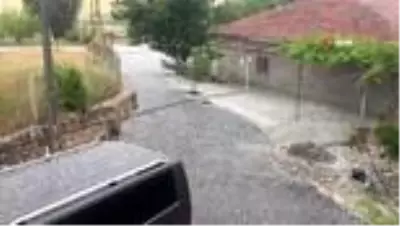 Dolu yağışı bahçelere ve ekinlere zarar verdi