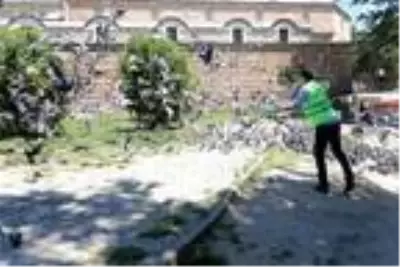 Edirne'de sokak hayvanları unutulmadı