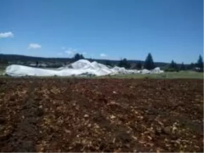 Mersin'de şiddetli fırtına seralara zarar verdi