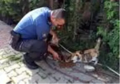 Polis, sokak hayvanlarını unutmadı