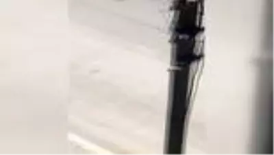 Polise kürekle saldıran zanlı gözaltına alındı Polise kürekle saldıran zanlı gözaltına alındı