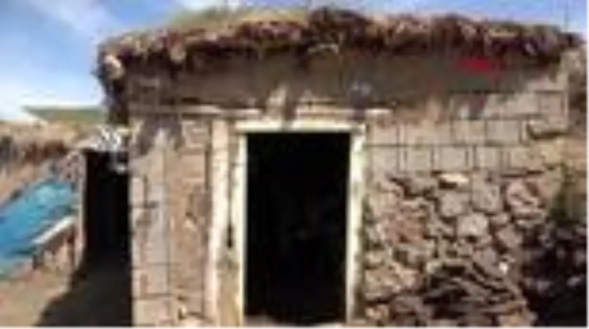 Sarıkızla birlikte artık 5 ineği var