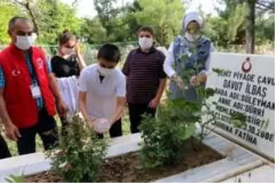 Şehidin eşi istedi, devlet hemen yardımına koştu Şehidin eşi istedi, devlet hemen yardımına koştu