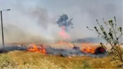 Seka'da çıkan yangın korkuttu