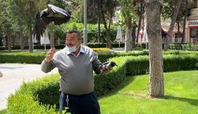 Sokağa çıkma izninde yavru kargayı kurtaran vatandaş, anne karganın saldırısına uğradı