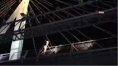 Sokağa çıkma kısıtlamasında alkollü şahsın üst geçitte intihar girişimi