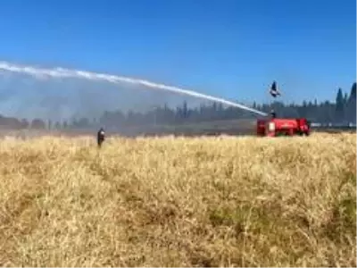 Tarım arazisinde yangın