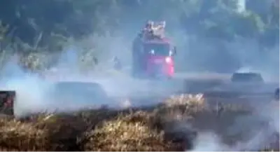Antalya'da anız yangını