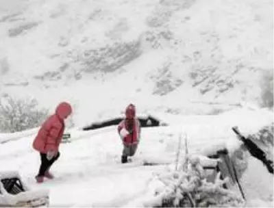 Artvin'de Mayıs ayında kar yağdı, hayvancılıkla uğraşanlar zor anlar yaşadı Artvin'de Mayıs ayında kar yağdı, hayvancılıkla uğraşanlar zor anlar yaşadı