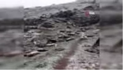 Artvin’e Mayıs ayında kar yağdı, hayvancılıkla uğraşanlar zor anlar yaşadı