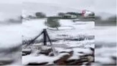Bayram sabahına kar yağışıyla uyandılar, telefonlara sarıldılar