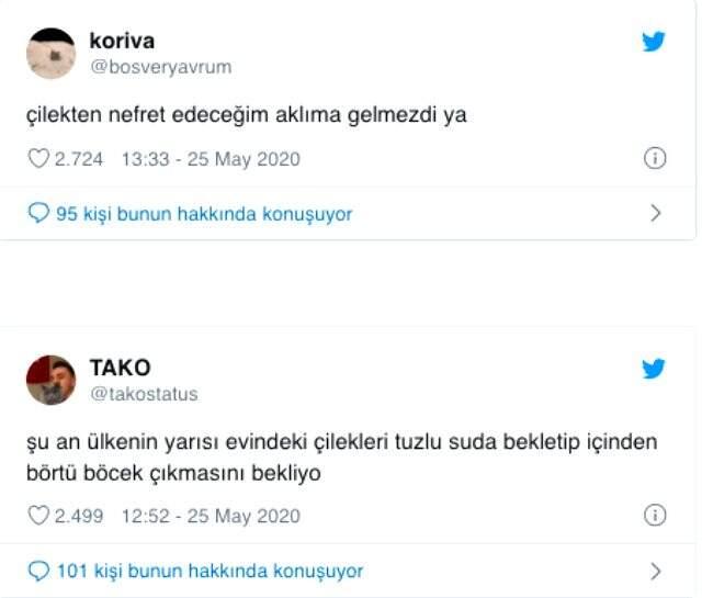 Çilek deneyi sosyal medyada gündem oldu! İzleyenler şaşkına göndü Çilek deneyi sosyal medyada gündem oldu! İzleyenler şaşkına göndü