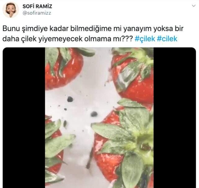 Çilek deneyi sosyal medyada gündem oldu! İzleyenler şaşkına göndü Çilek deneyi sosyal medyada gündem oldu! İzleyenler şaşkına göndü