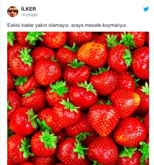 Çilek deneyi sosyal medyada gündem oldu! İzleyenler şaşkına göndü Çilek deneyi sosyal medyada gündem oldu! İzleyenler şaşkına göndü