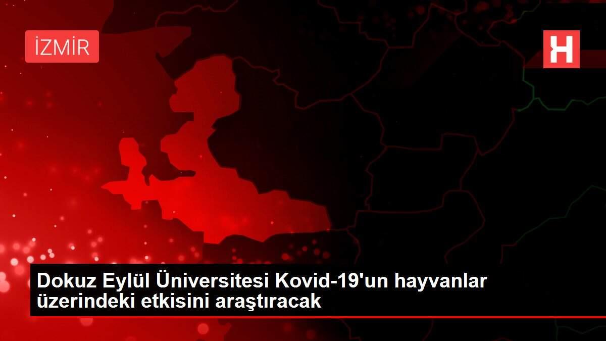 Dokuz Eylül Üniversitesi Kovid-19'un hayvanlar üzerindeki etkisini araştıracak