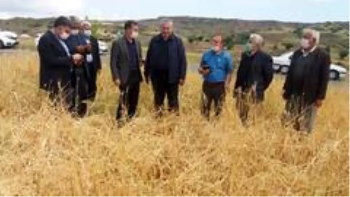 Dolu sonrası hasar tespit çalışmaları başladı