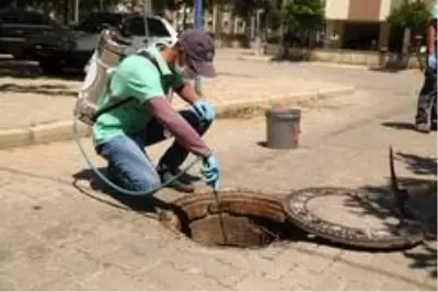 Efeler'de larva ilaçlaması sürüyor