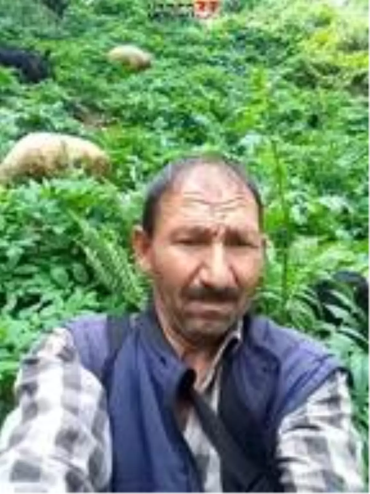 Hayvan otlatmaya gitti, tüfekle vurulmuş cesedi bulundu