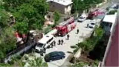 IĞDIR Doğu’da fırtına, ağaçları ve elektrik direklerini devirdi